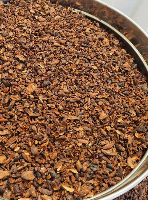 Fave di cacao spezzate dopo la tostatura