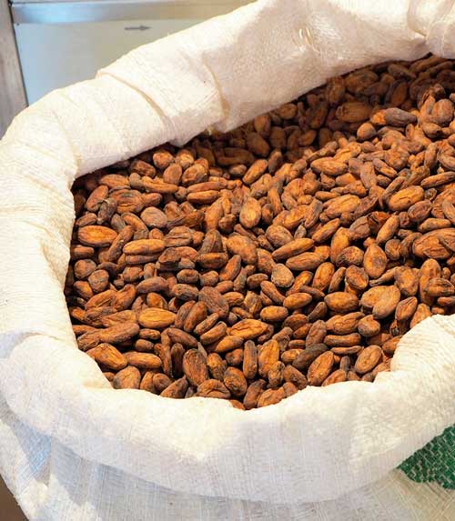 Sacco di fave di cacao